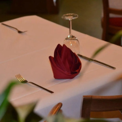 Hotel Jungstil - Bild 21