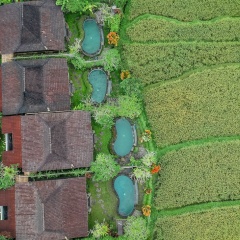 Wooden Ganeca Villas by GenuineHost - Bild 16