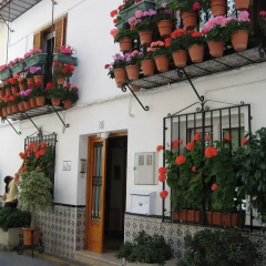 Casa Charlotte thumbnail 1