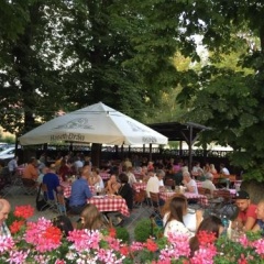 Gasthof zum Ochsen - Bild 13