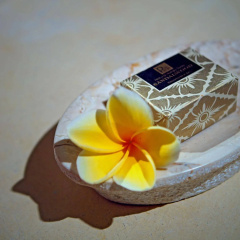 The Bale Tokek Villas - Bild 12
