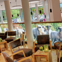 Nells Park Hotel - Bild 20