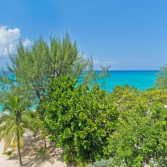 Sea Breeze, Grand Cayman in West Bay, Cayman Islands from 975$, photos, reviews - zenhotels.com photo 16