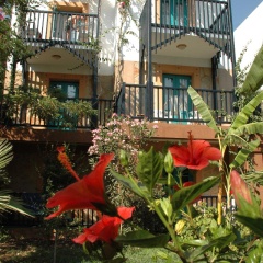 Jasmin Beach Hotel - All Inclusive - Bild 1