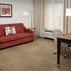 Hampton Inn & Suites Phoenix Tempe thumbnail 7
