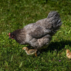 Wassererlehen - Bild 17