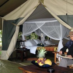 Mara Bush Camp thumbnail 22
