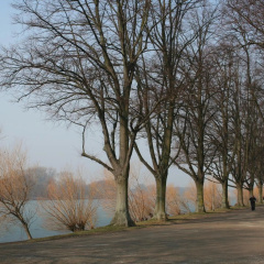 Hotel Landhaus Ammann - Bild 19