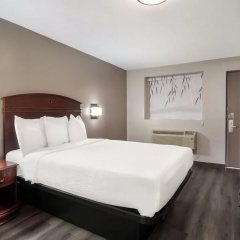Red Carpet Inn Edison