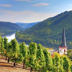 Gasthaus Castor - Bild 8