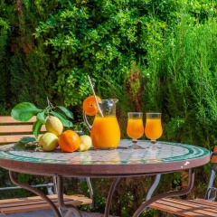 Finca Ca´s Curial - Bild 13