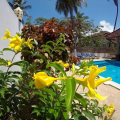 Hakuna Shida Guesthouse thumbnail 15