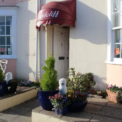 The Redcliff thumbnail 1