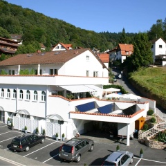 Apartmenthaus "Zum Löwen" Heidelberg - Ziegelhausen - Bild 14