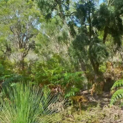 Yelverton Brook Eco Spa Retreat & Conservation Sanctuary thumbnail 11