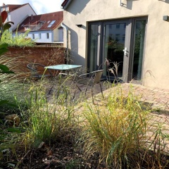 kleines Appartement am Schlossparkcenter - Bild 2