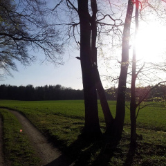 Moin, Moin & Ahoi! - Bild 11