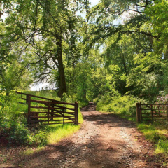 Woodlands Farm thumbnail 24