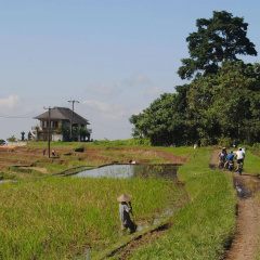 The Bali Bill Villa thumbnail 24