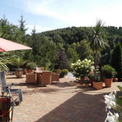 Pension Waldhof - Bild 6