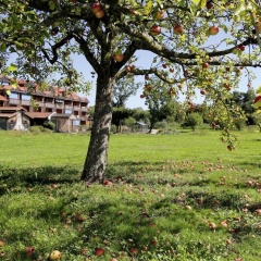 Hotel am Haslinger Hof - Bild 18