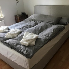 Ferienwohnung über dem Ilmpark - Bild 1
