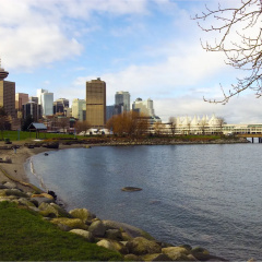 Rosedale Condominiums