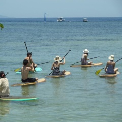 Mangrove Paradise Retreat - Bild 20