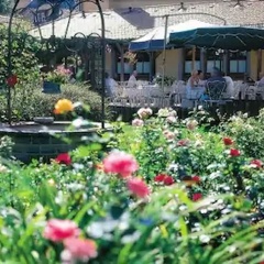 Hotel BurgGartenpalais - Bild 11