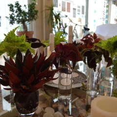 Hostal Mar Del Plata - Bild 16