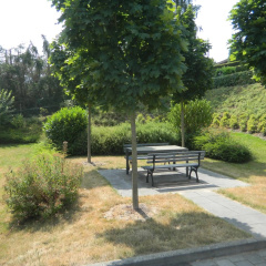 Ferienwohnung Bernkastel-Kues - Alte Rebschule - Bild 10