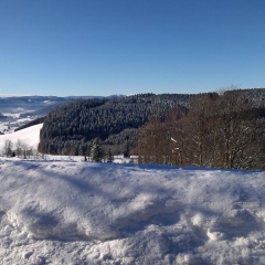 Schwarzwaldgasthaus Salenhof - Bild 6