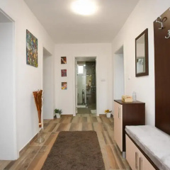 Oasis House photo 4