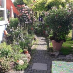 Zimmer Frei - Bild 4