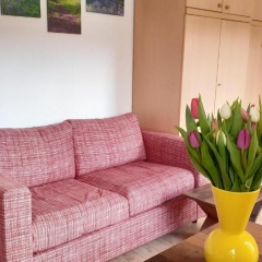 1-Zimmer-Apartment-2-Hochparterre - Bild 1