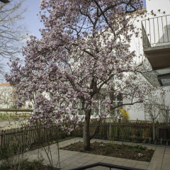 Haus Mobene - Hotel Garni - Bild 9