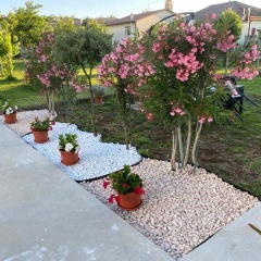 Gondola House - Bild 11