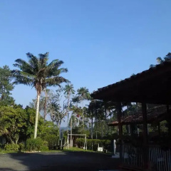 Hostal Rio Arabia - Valle De Cocora thumbnail 4