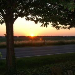 Classik Hotel Magdeburg - Bild 22
