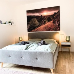 Home away from Home in a lovely vine region Bingen - Bild 2