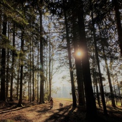 Feriendorf Büchelberg - Bild 18