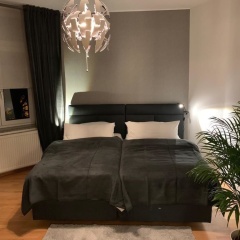 Homewards Frankfurt - Bild 5