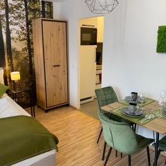 Wanderlust Apartment Baden-Baden - Bild 7