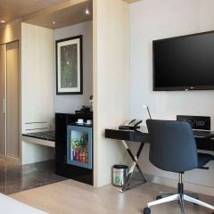 Wyndham Grand Levent Istanbul Hotel & Conference Center thumbnail 39