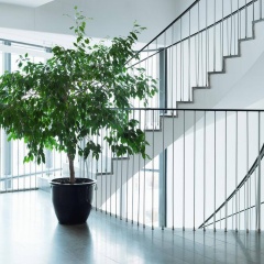 Scandic Park - Bild 16