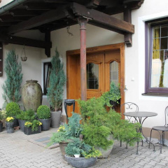 Anderschitz Landhotel - Bild 16