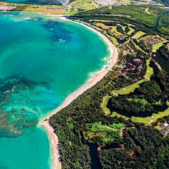 Bahia Beach Resort & Golf Club in Rio Grande, Puerto Rico from 915$, photos, reviews - zenhotels.com photo 32