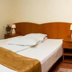Hotel Riviera Sinaia