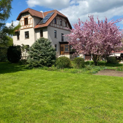Apartment Hohe Pappel Weimar - Bild 7