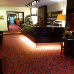 Hotel Goldener Hirsch - Bild 17